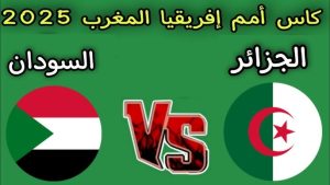 بث مباشر مباراة الجزائر والسودان